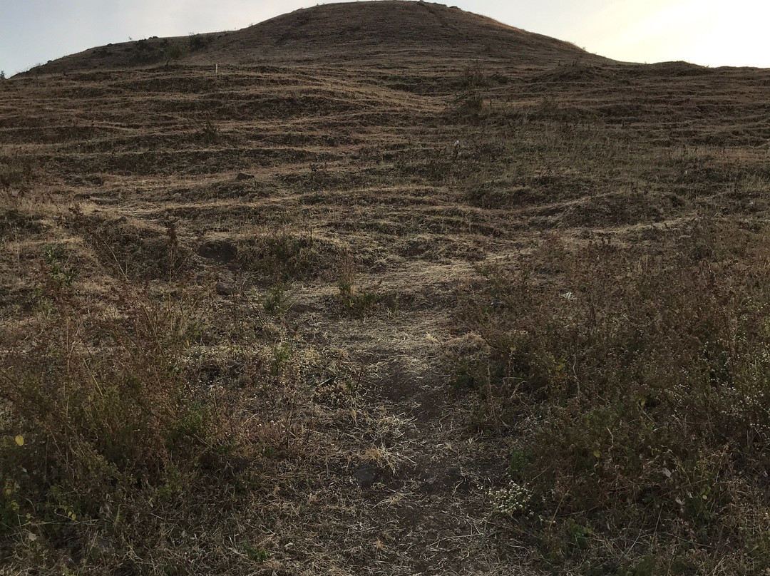 Brahmagiri Hill景点图片