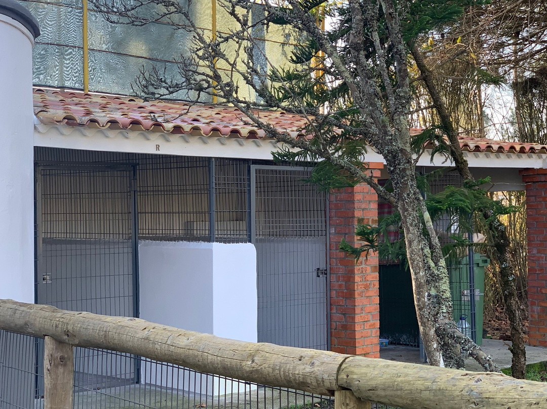 Quinta da Mafalda主图