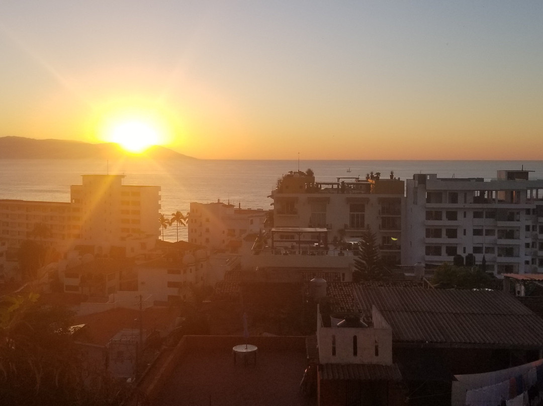 Art Vallarta-瓦拉塔港必去景点