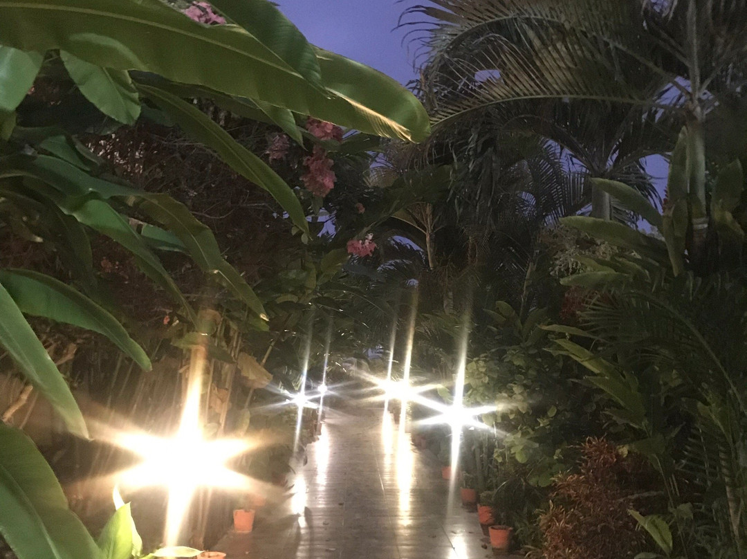 Hotel Puerto Gaviota主图