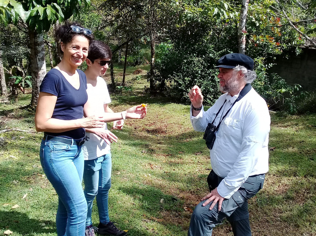 Jardin Botanico L'etoile Celeste景点图片