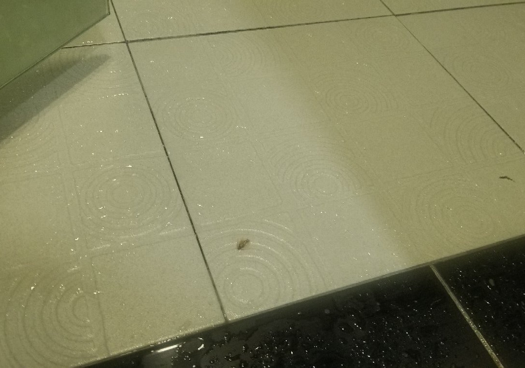 Riverfront Sentral Boutique Hotel主图