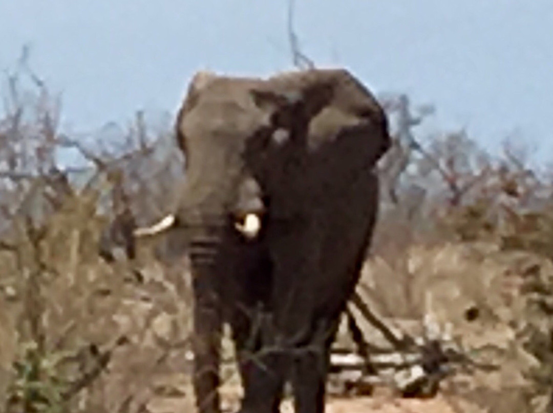 Panorama Pedals-参宁必去景点