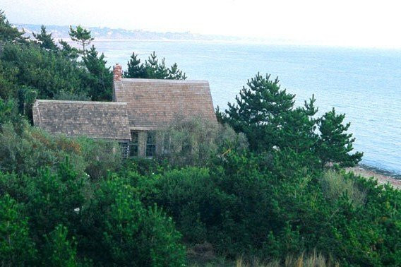 Lis Sur Mer