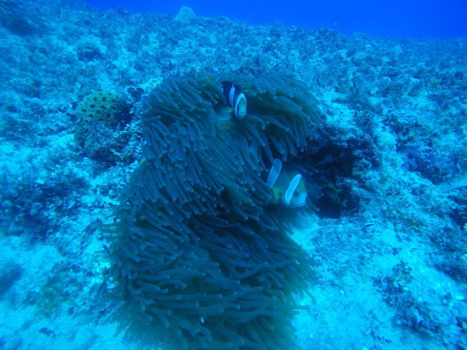 S2 Club Guam-Piti必去景点