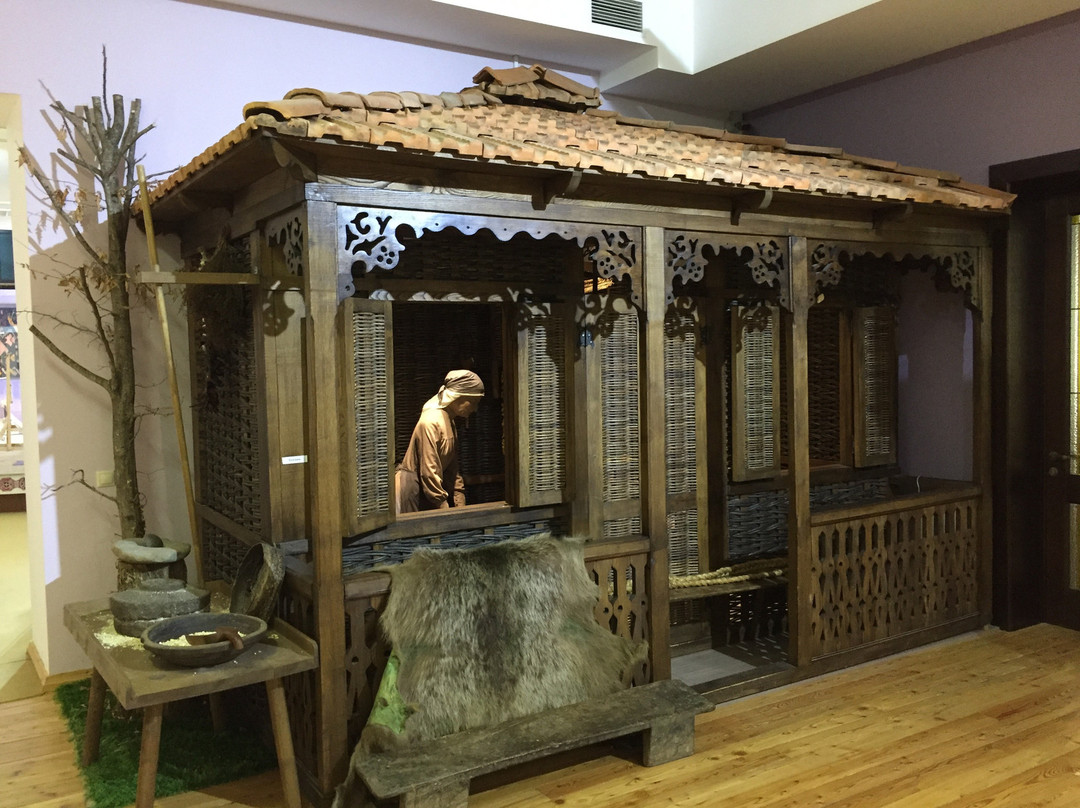 Abkhazia State Museum-Sukhumi必去景点
