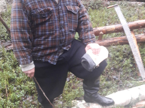 Forestry Museum of Lapland-罗瓦涅米必去景点