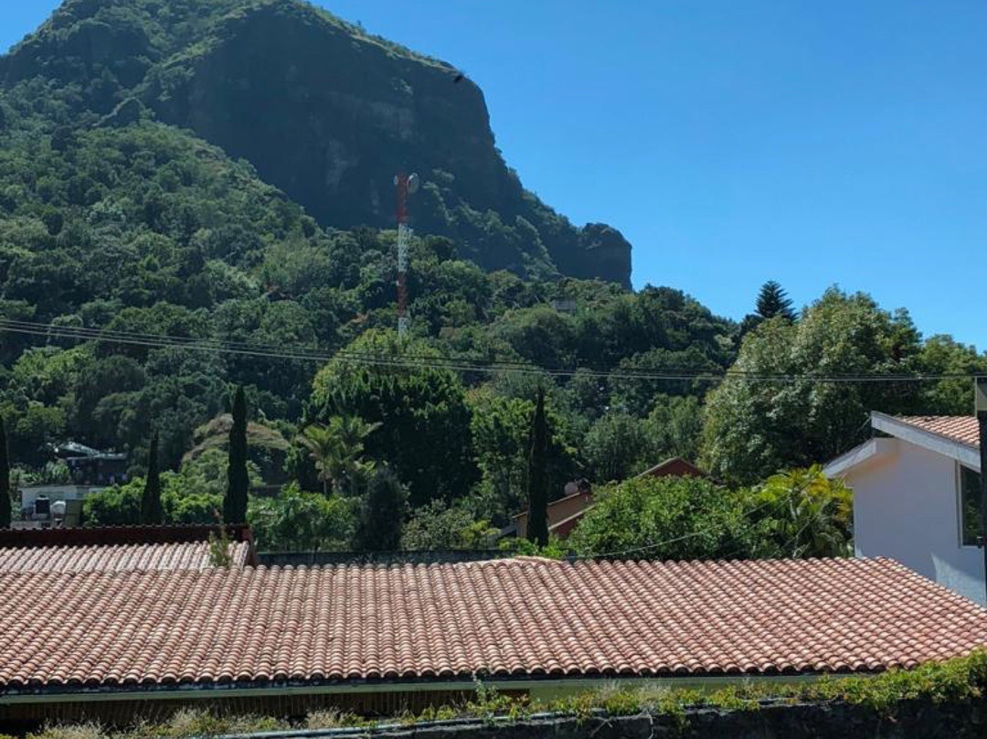 新黎明酒店主图