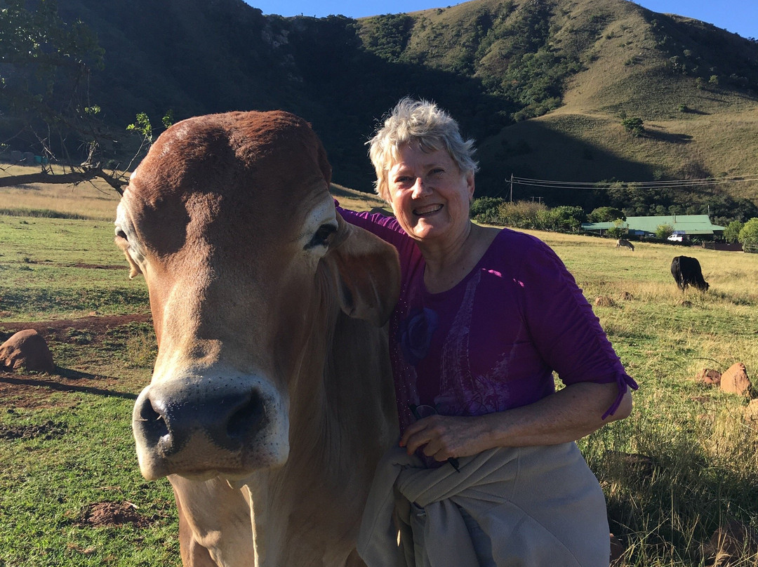 Koubad Farm Lodge主图