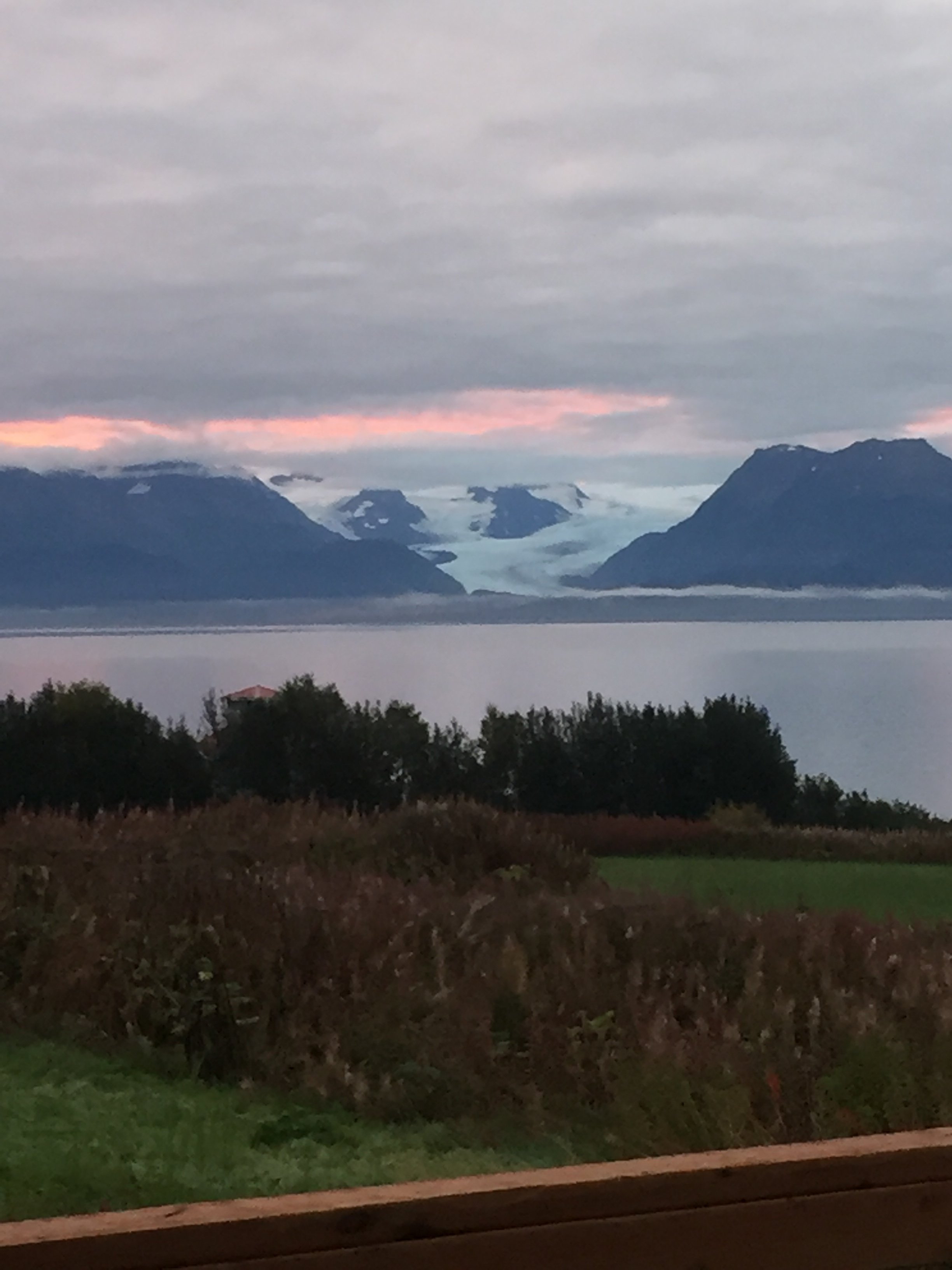 Anglers Roost-官方