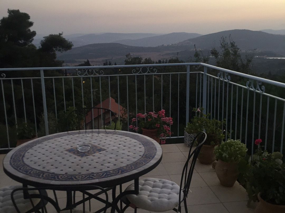 Zimmers at the Forest主图