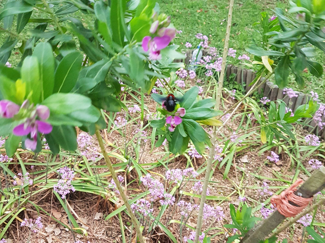 A Kings View Boutique Guesthouse主图