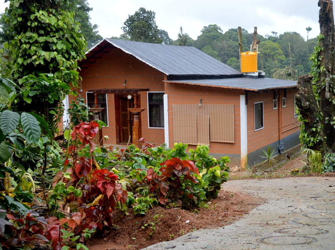 Coffee Bliss Homestay