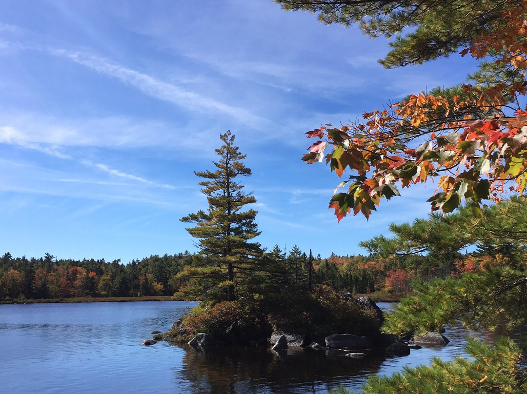 Crowbar Lake Hiking Trails景点图片
