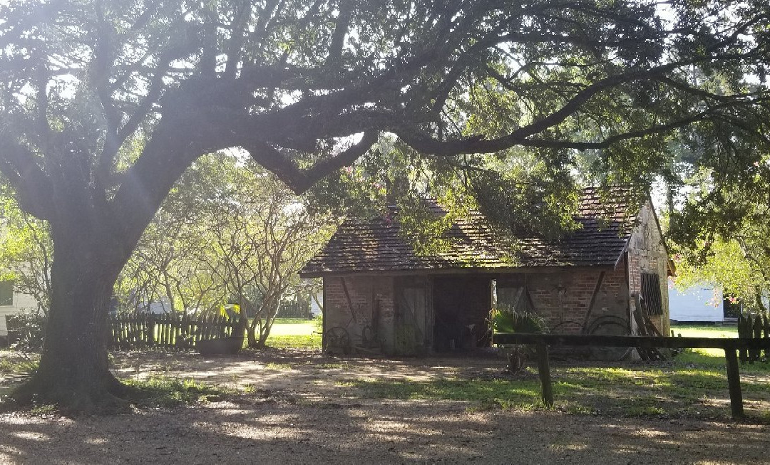 Burden Museum & Gardens-巴吞鲁日必去景点