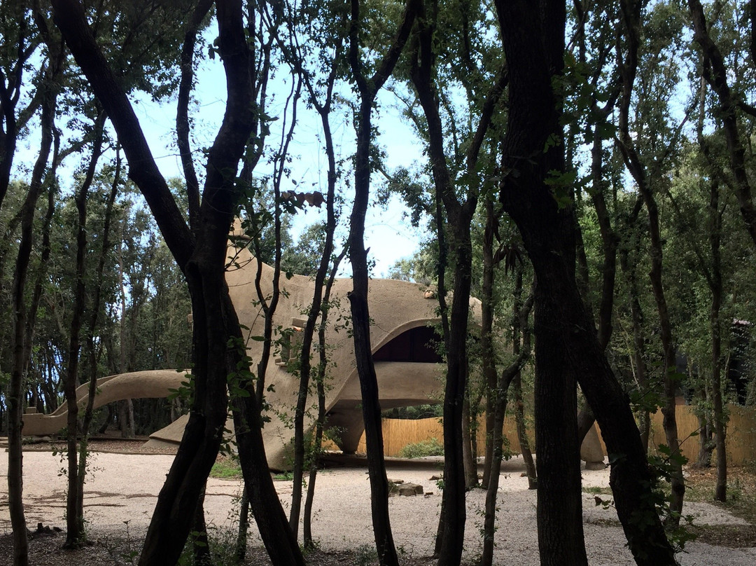 Casa Dinosauro Baratti景点图片