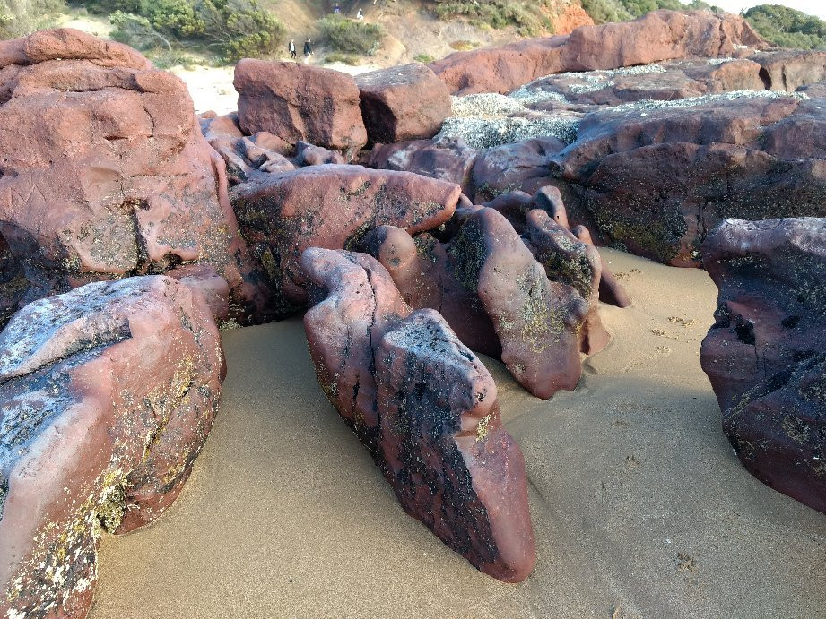 Ventnor Beach景点图片