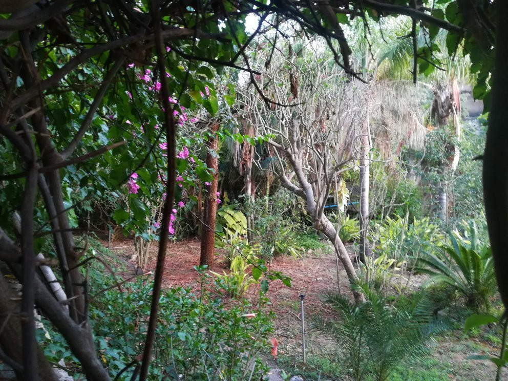 克里斯托港旅游景点-Jumaica Tropical Park
