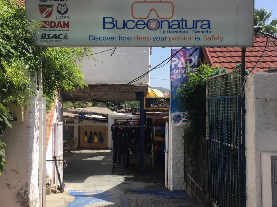 Buceonatura景点图片