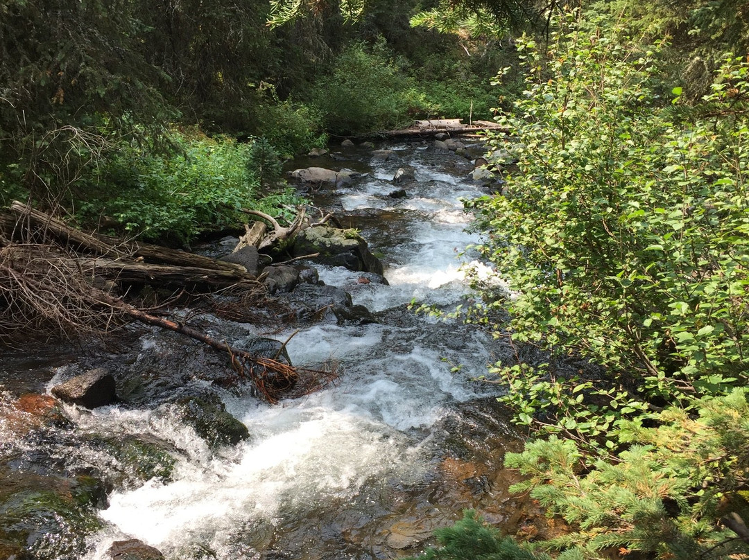 Grotto Falls Trail-博兹曼必去景点