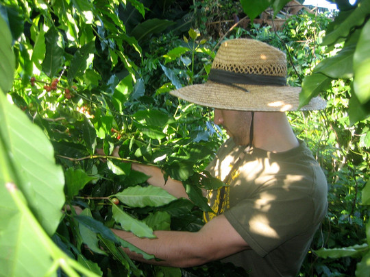 Rancho Aloha-哈陆亚洛亚必去景点