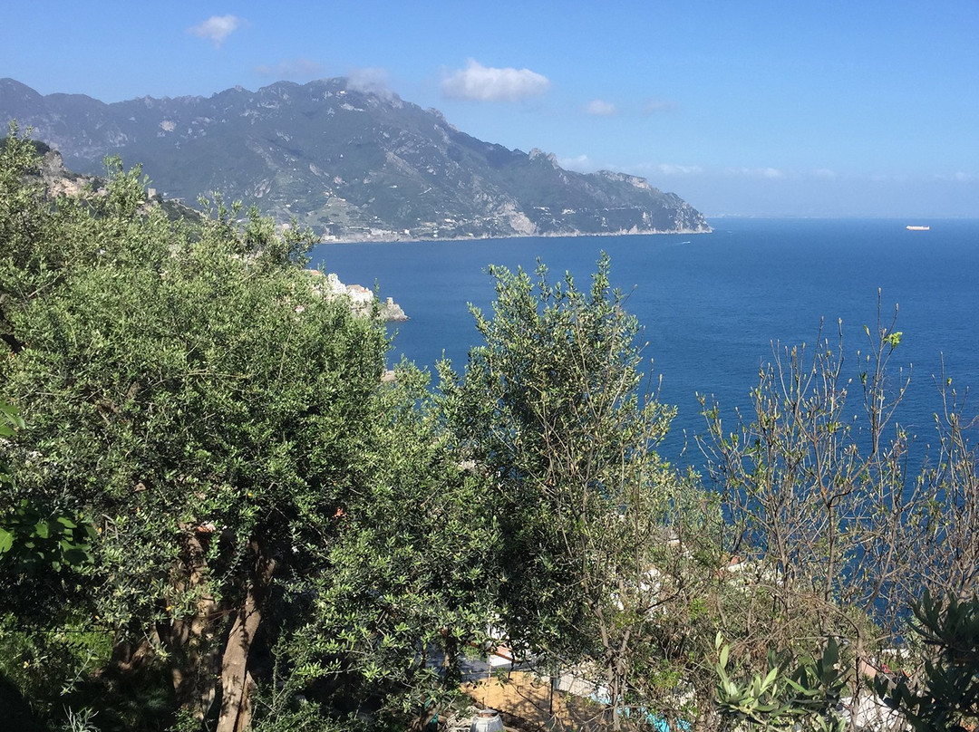 Enjoy Amalfi Tours-那不勒斯必去景点
