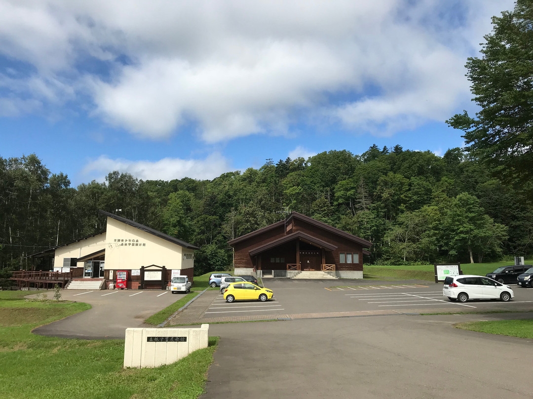 Mt. Yotei Natural Park景点图片