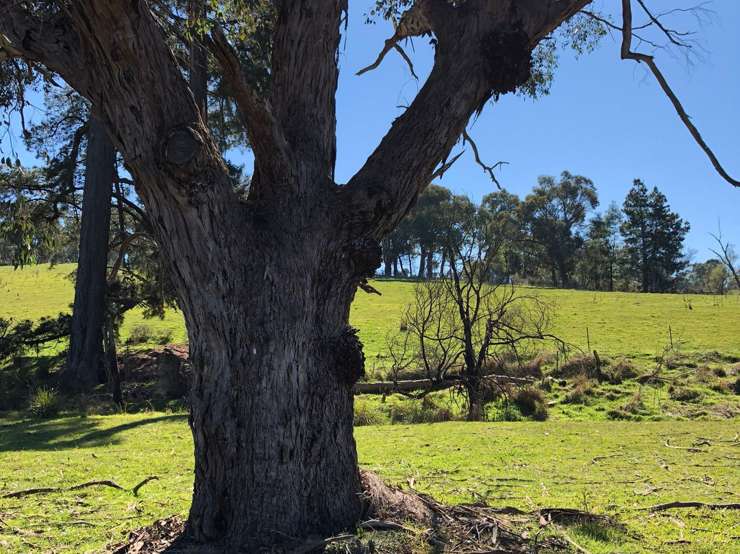 Maroondah Aqueduct-Kangaroo Ground必去景点