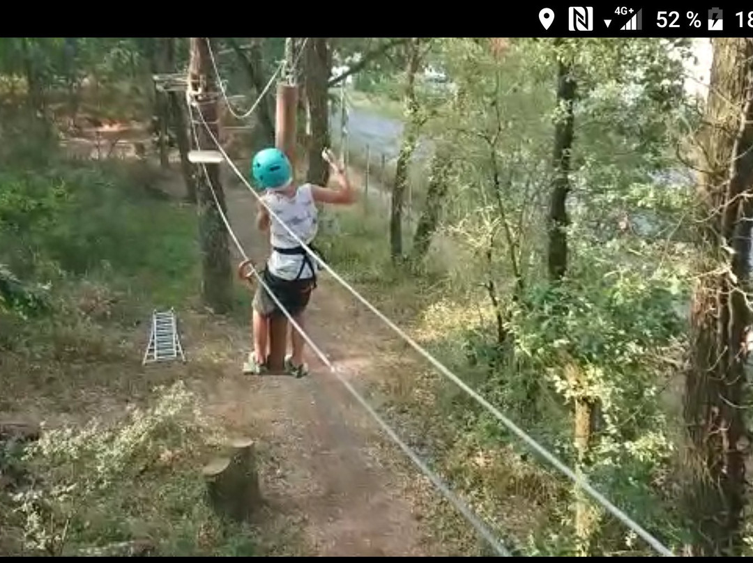 Parc Saumur Forest Aventures景点图片