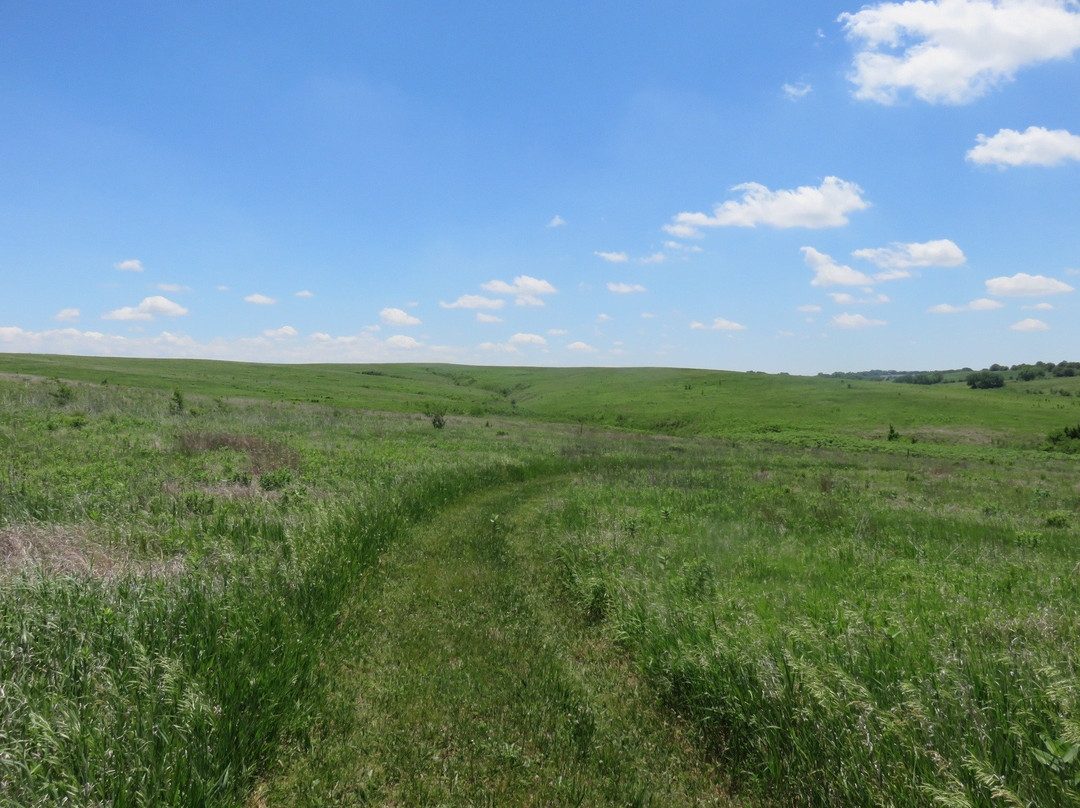 Spring Creek Prairie Audubon Center-Denton必去景点