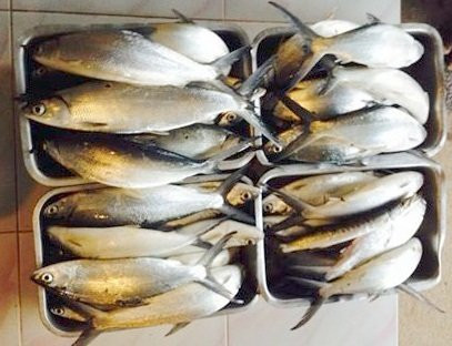 班湄度假村主图