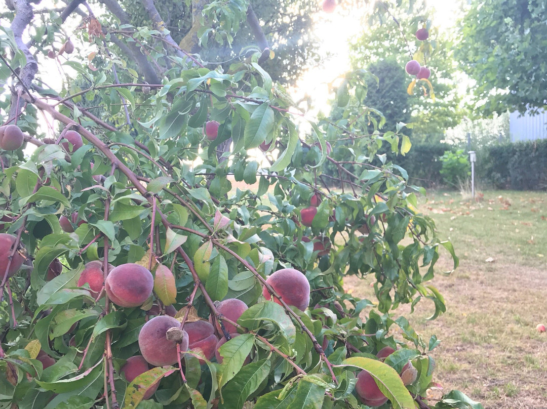 Hotel Zielonka主图