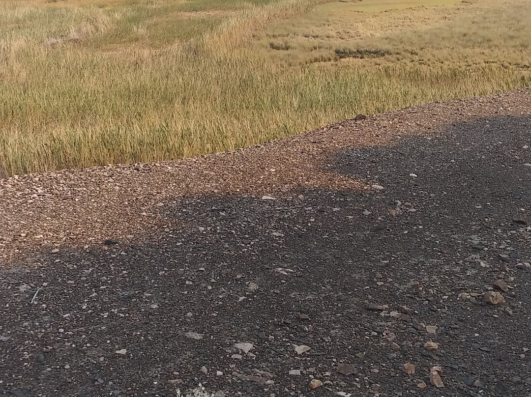 Saratoga Springs-死亡谷国家公园必去景点