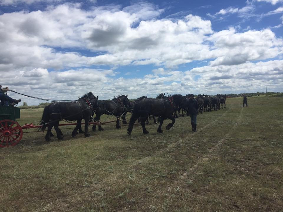 Gilmer & Salisbury Stagecoach-威廉姆斯必去景点