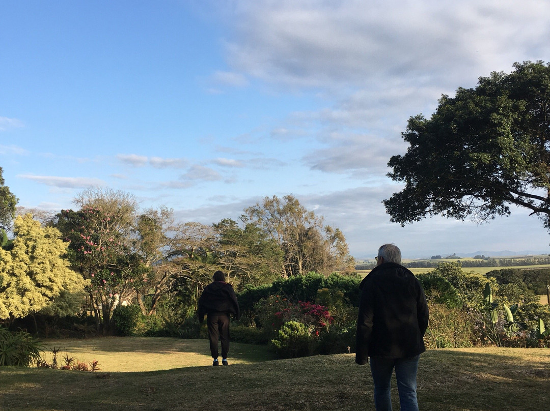 Sugar Hill Manor Guesthouse主图