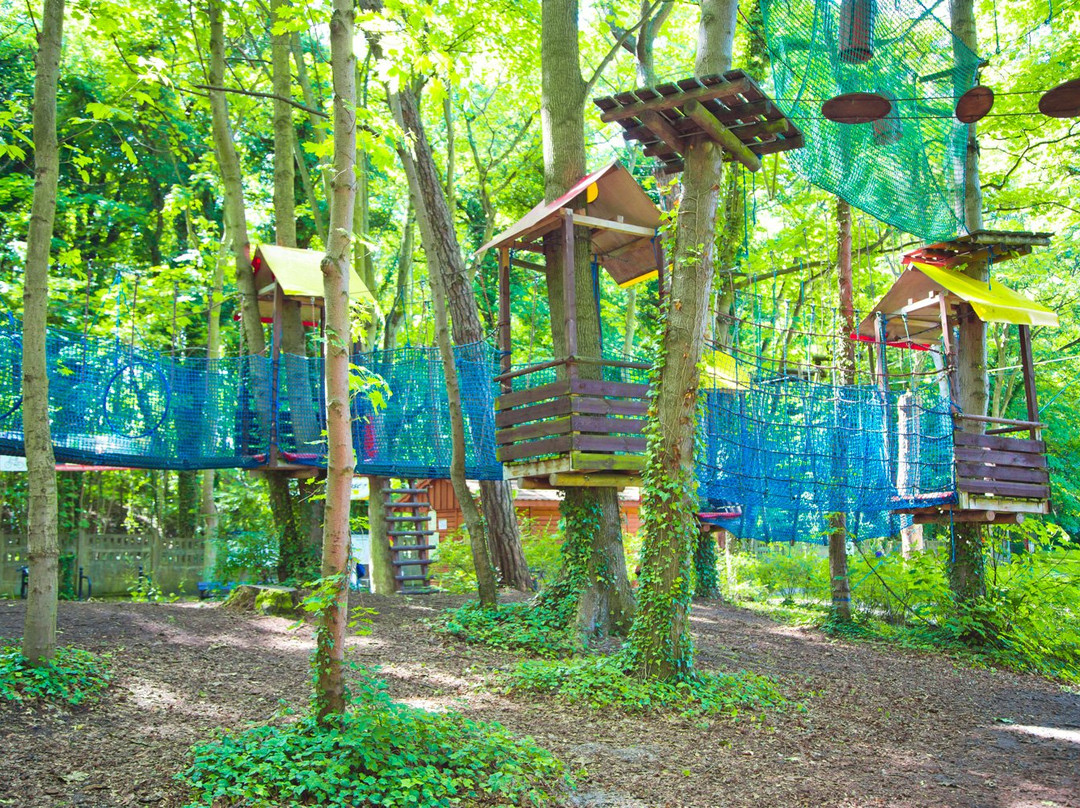 Rope Park BLUSZCZ Swinoujscie景点图片