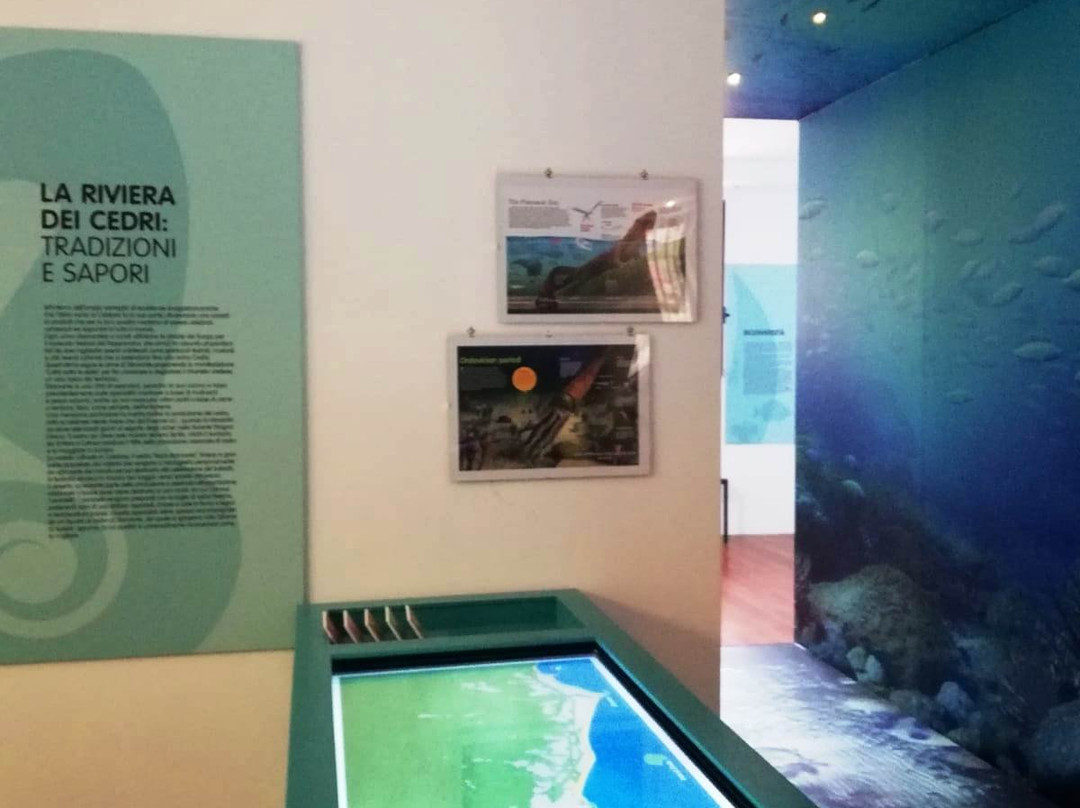 Acquario Multimediale di Diamante-迪亚曼泰必去景点