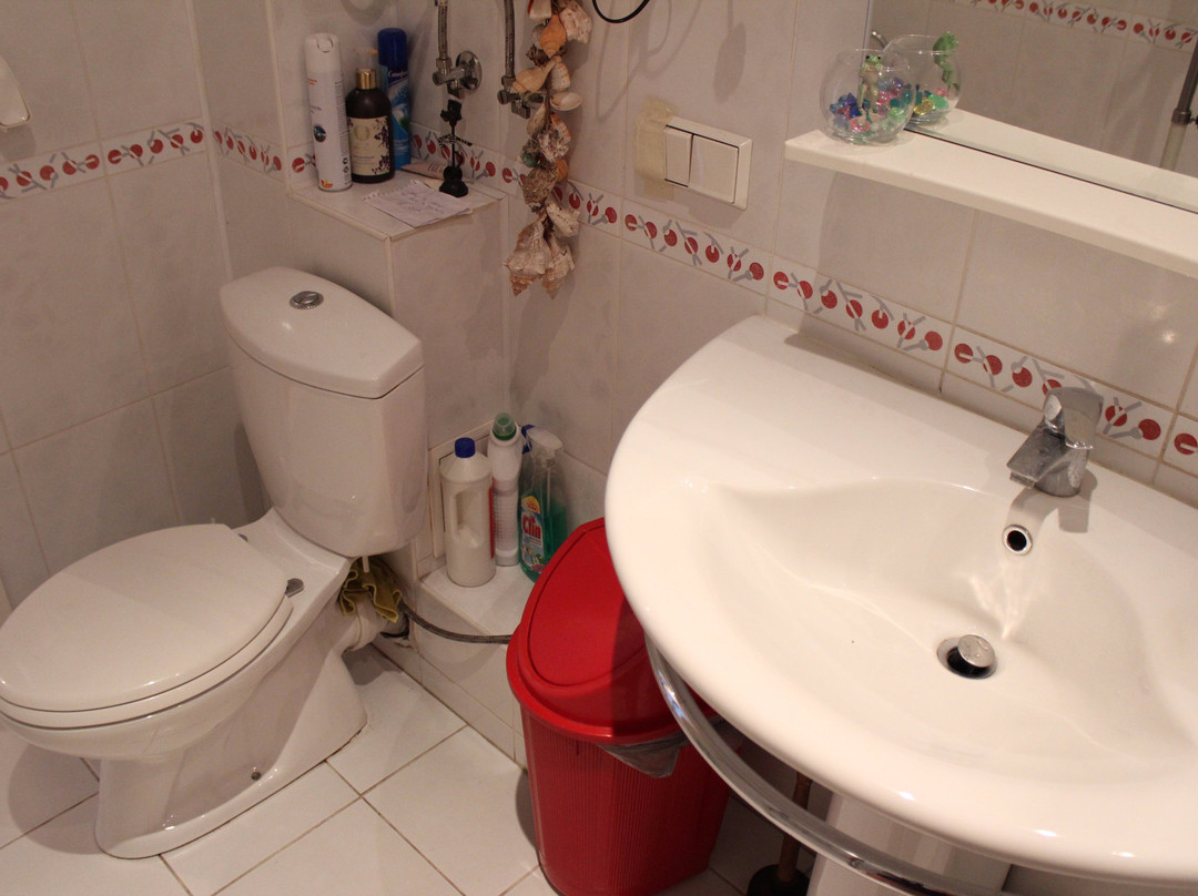 Olga's Homestay主图