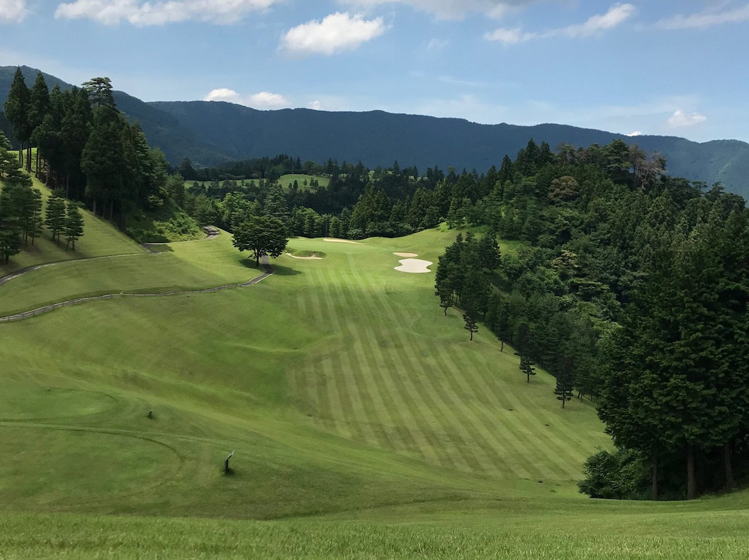 Ace Golf Club Fujioka Course景点图片
