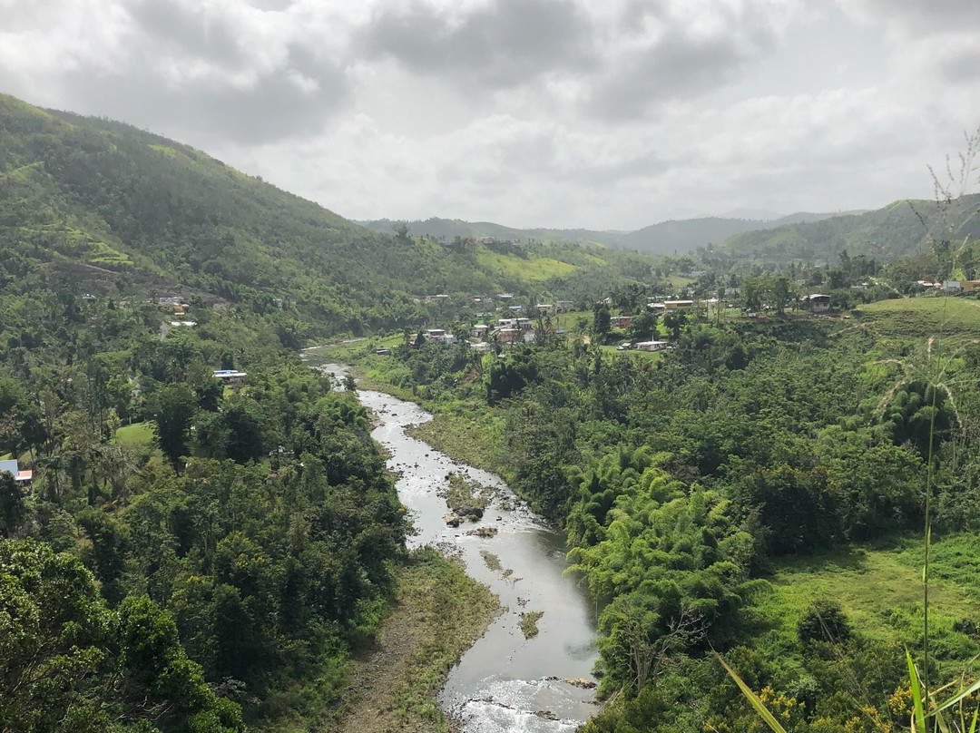 Aibonito旅游攻略图片
