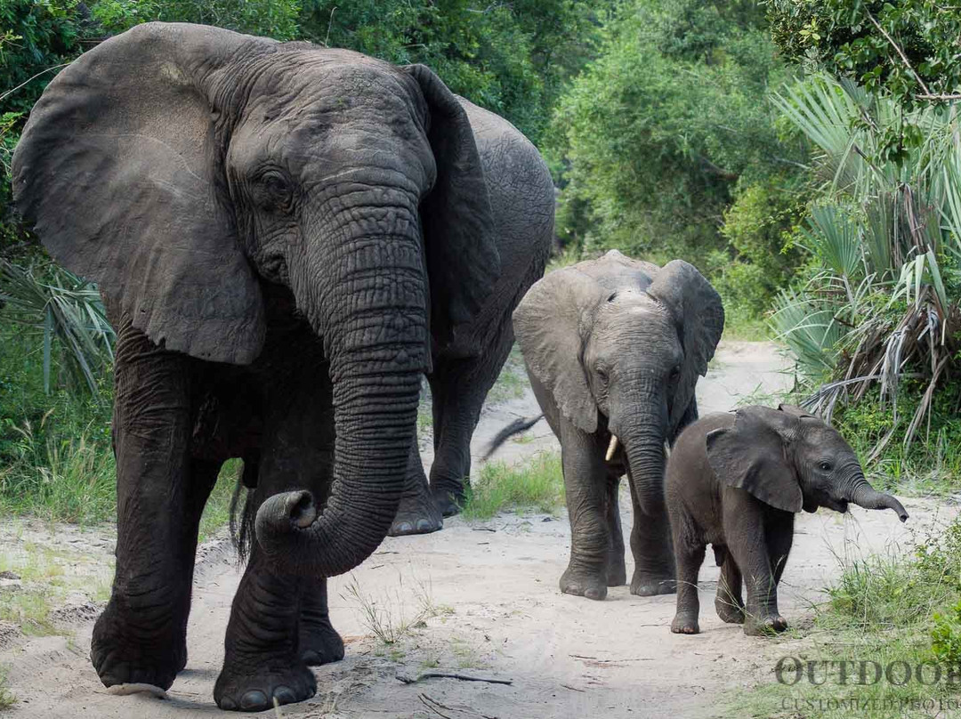 Outdoor Africa-理查兹湾必去景点