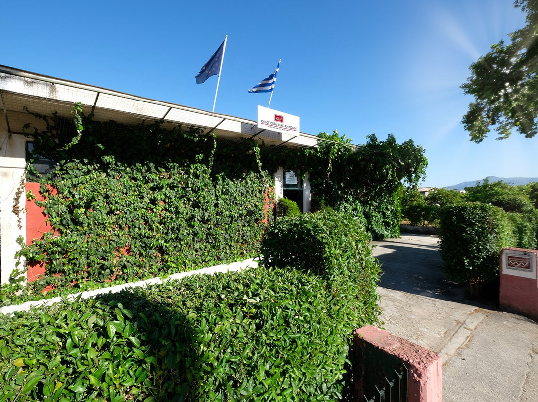 Argos旅游景点-Papantonis Winery