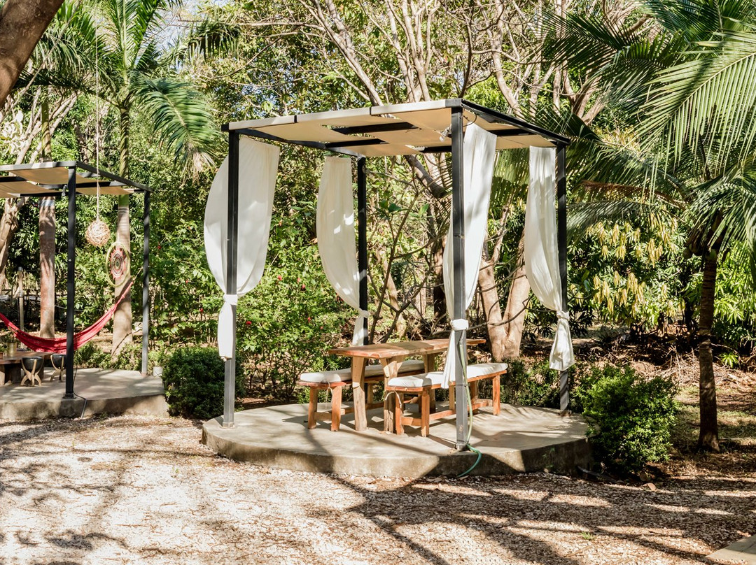 Hotel Mauna Loa主图