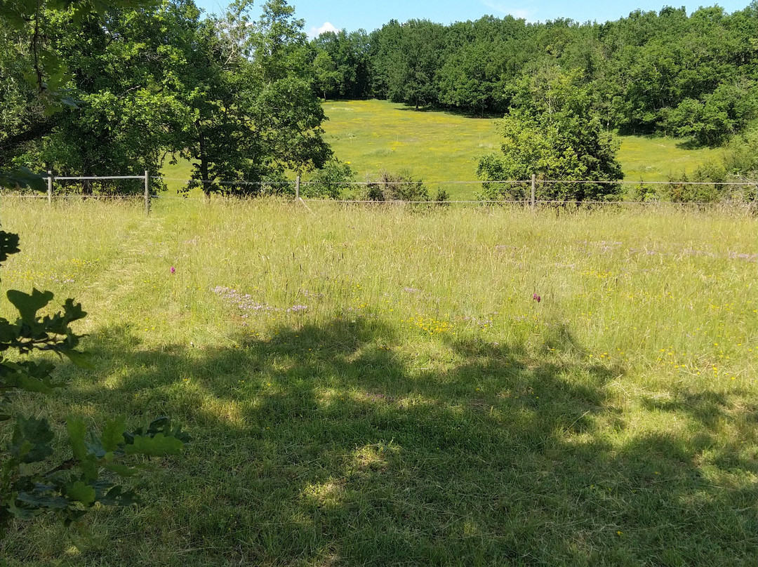 Un Chemin en Quercy