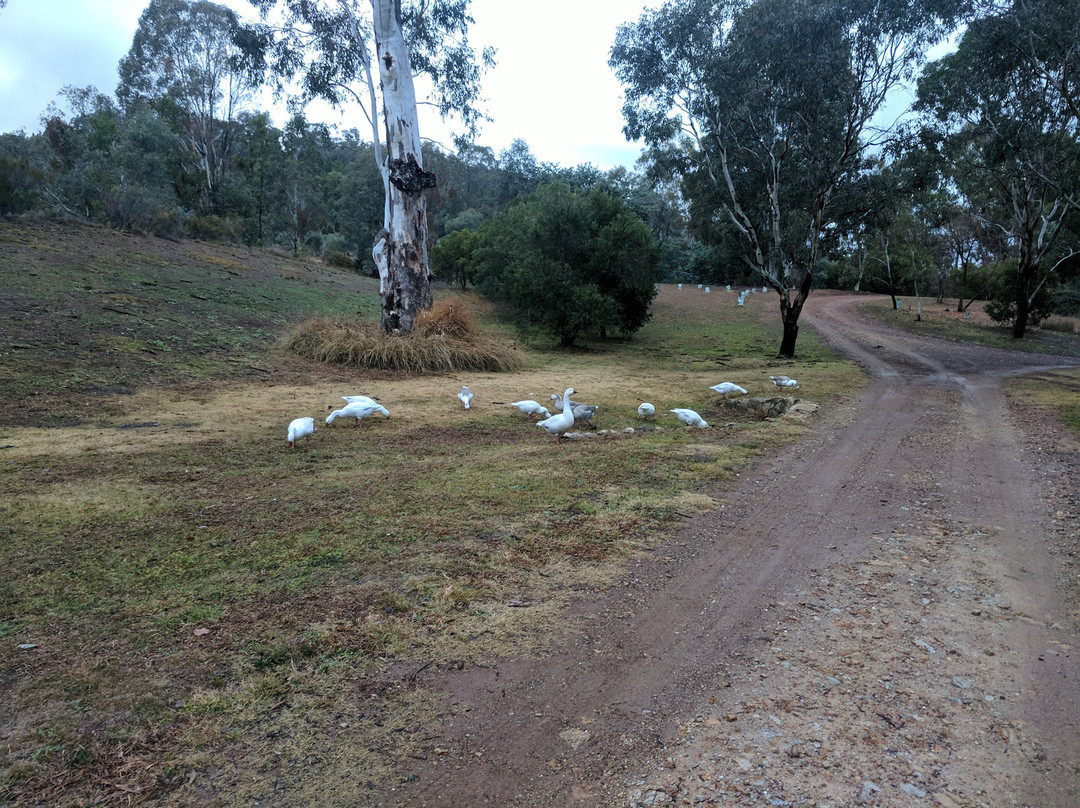 野木国宾馆主图