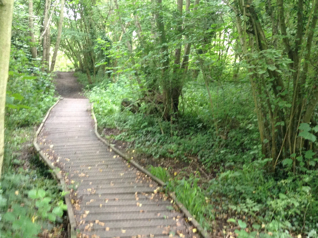 Moor Copse Nature Reserve景点图片