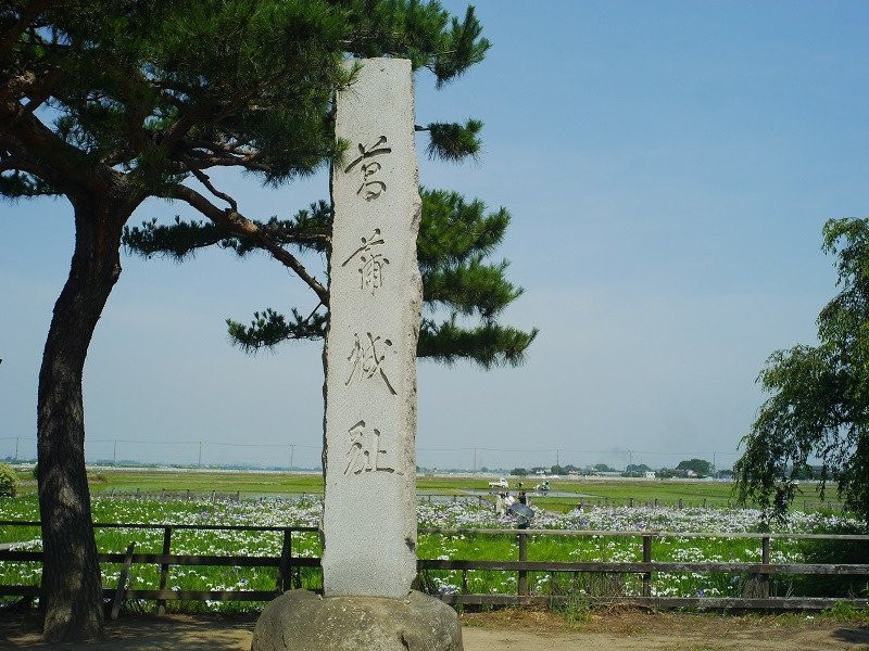 Shobujoshi Ayame Garden-久喜市必去景点