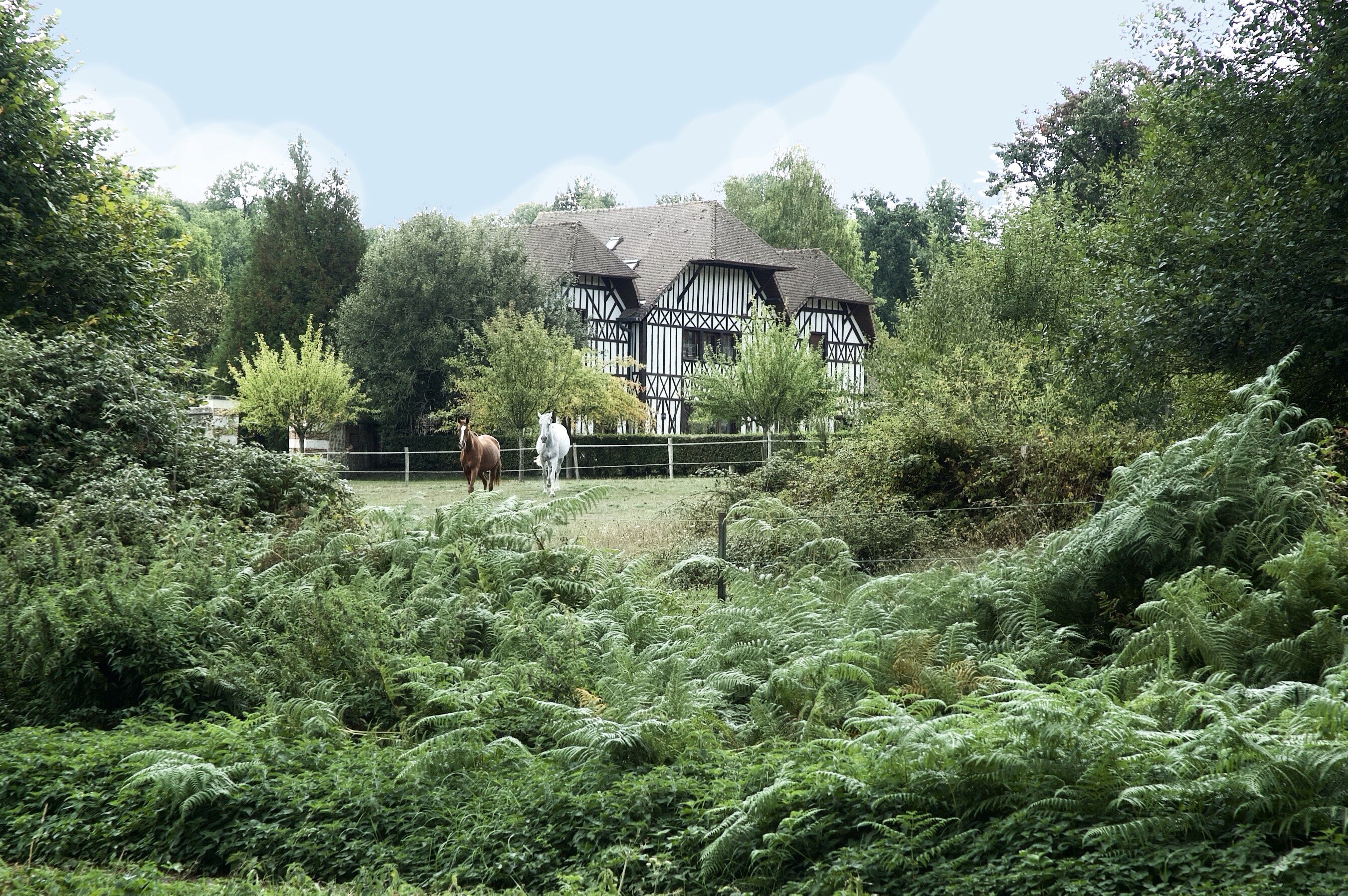 Chateau D Argeronne-官方