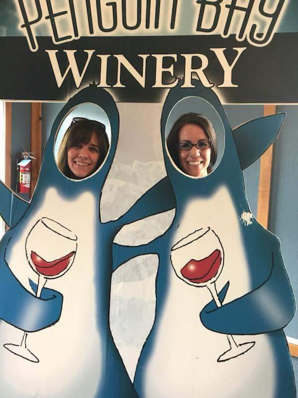 Penguin Bay Winery景点图片