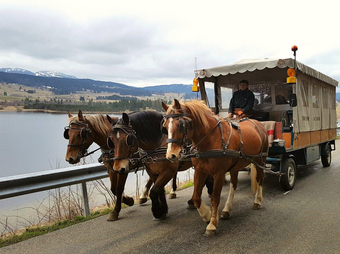 Centre Equestre Tinguely